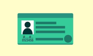 The National Identity Card for Overseas Pakistanis (NICOP)